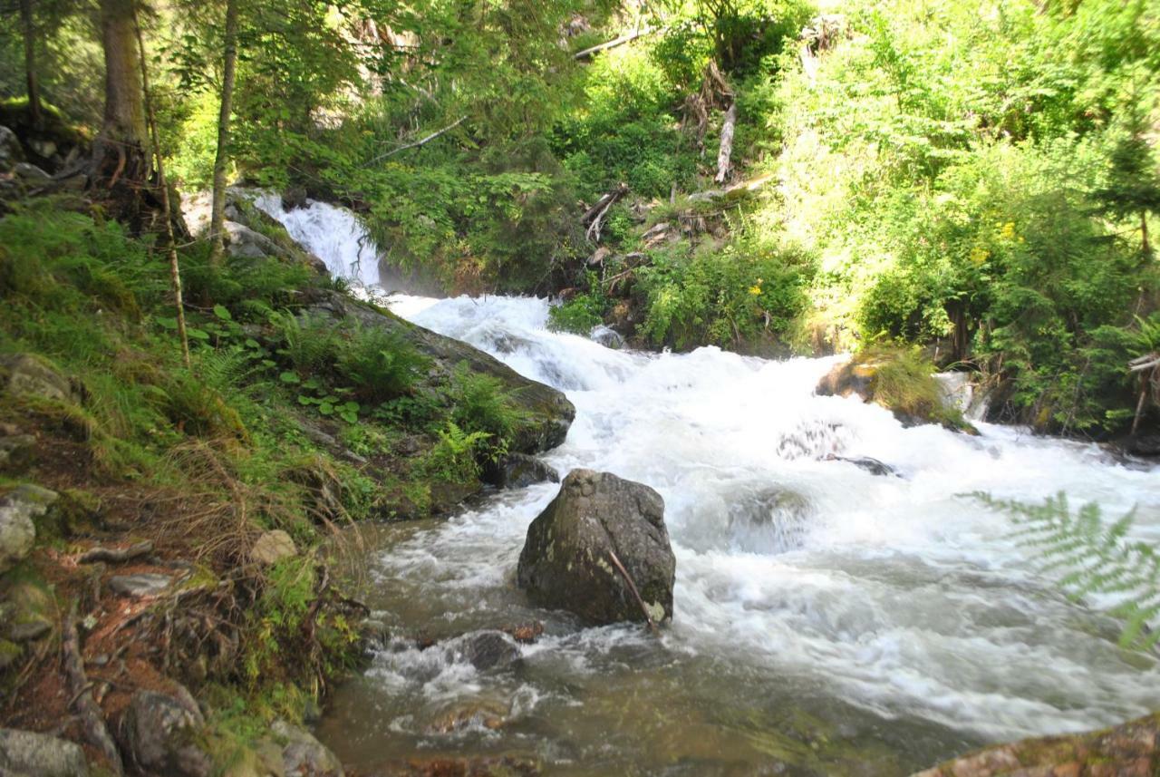 Apartment Zum Wasserfall Krakaudorf Luaran gambar